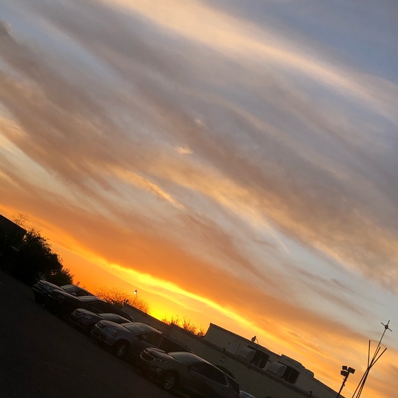 Meet your Posher, Martha - Picture 1 of 1